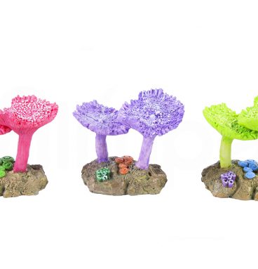 Corales Decorativos